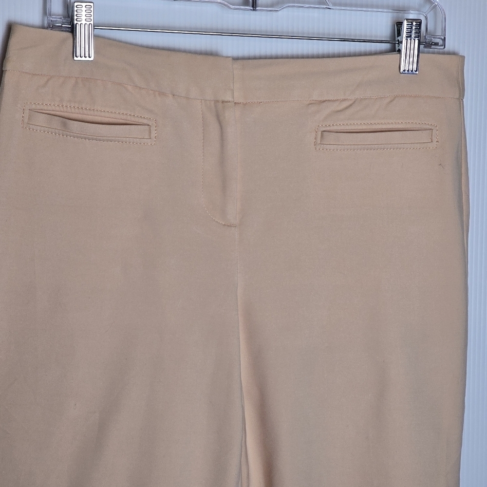 Talbots Women's Hampshire Curvy Fit Straigjt Leg PeachyPink Stretchy PantSize 8P - Picture 4 of 11